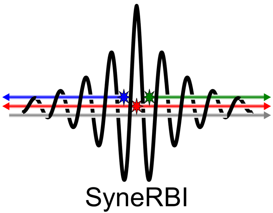 CCPSyneRBI