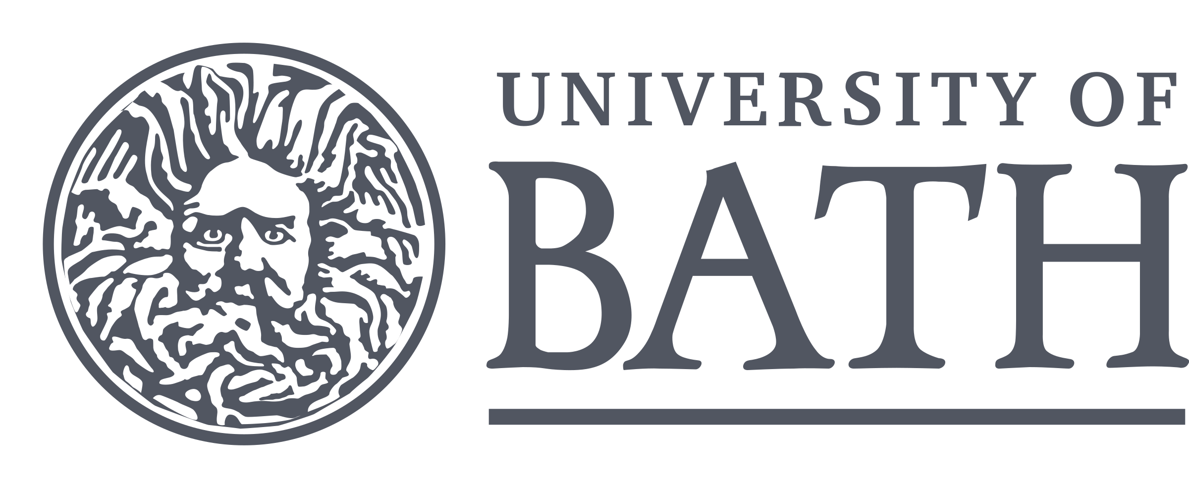 University of Bath